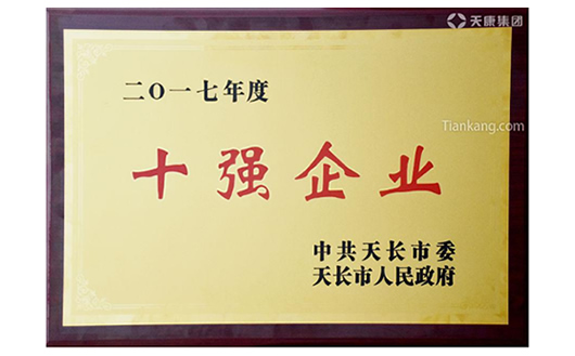 天长市十强企业 天长市十强企业
